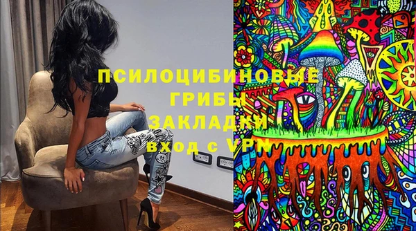 метадон Лагань