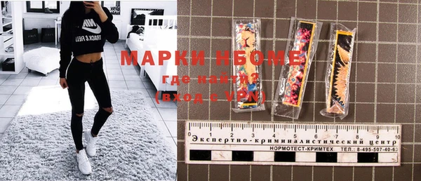 винт Лабытнанги