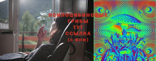метадон Лагань