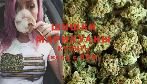 винт Лабытнанги